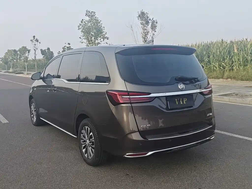 Buick GL8 — миниатюра 8