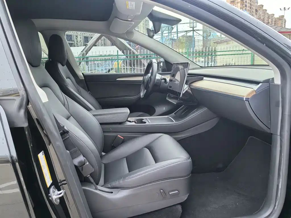 Tesla Model Y — миниатюра 11