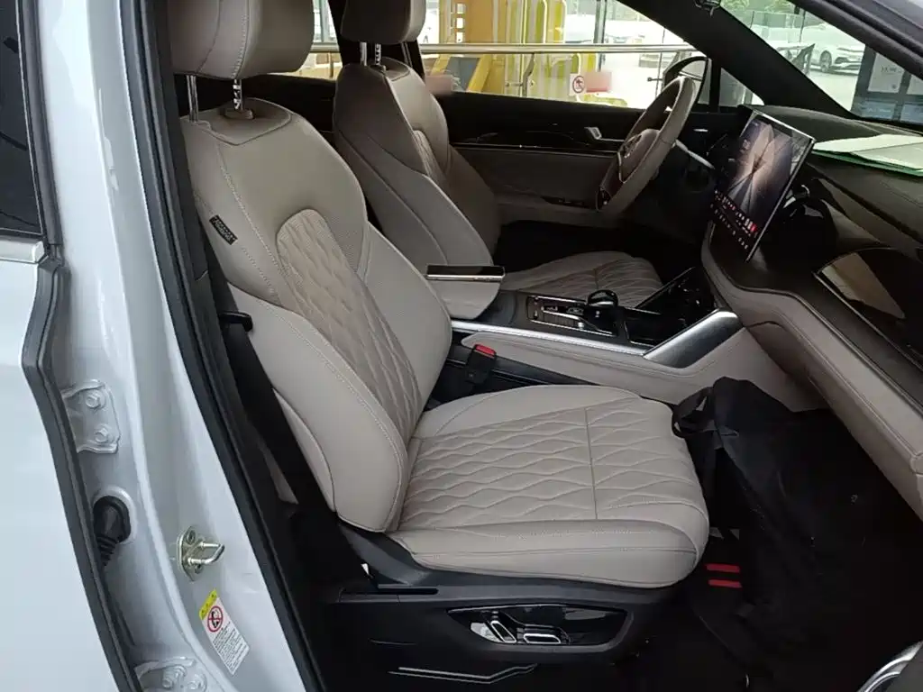 BYD Tang New Energy — миниатюра 25