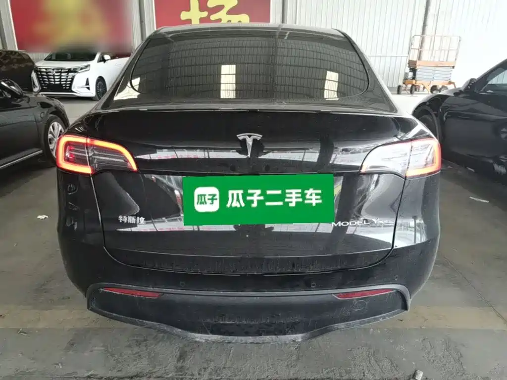 Tesla Model Y — миниатюра 6