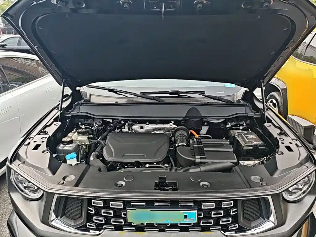 Haval Big Dog PLUS New Energy — миниатюра 20