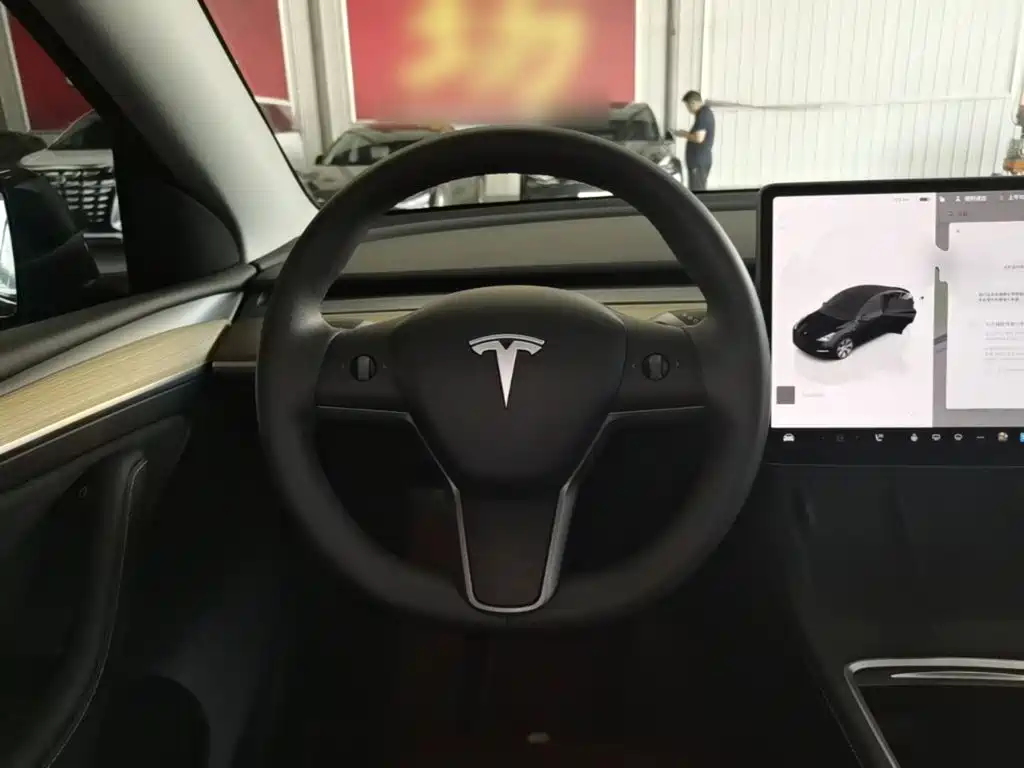 Tesla Model Y — миниатюра 11