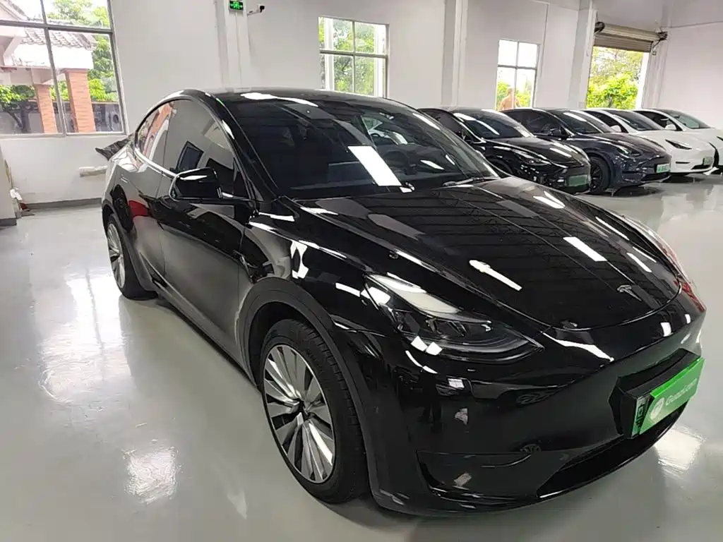 Tesla Model Y — миниатюра 4