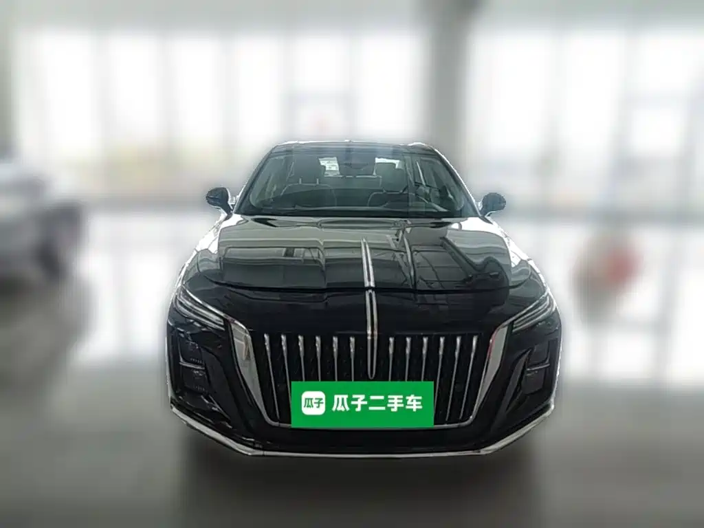 Hongqi Hongqi H5 — миниатюра 5