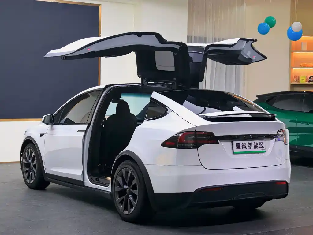 Tesla Model X — миниатюра 23