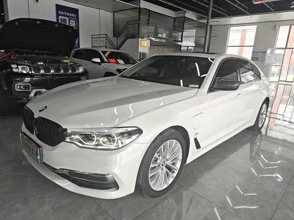 BMW 5 Series New Energy 2019