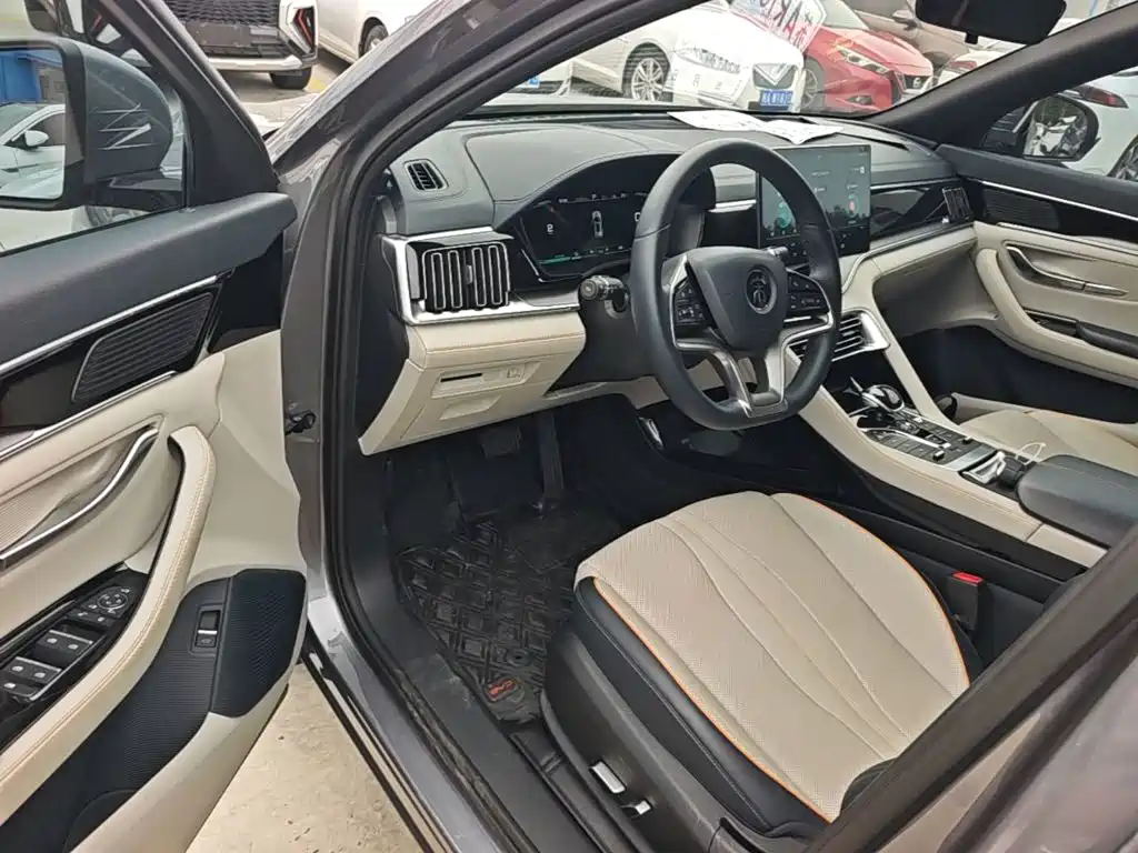 BYD PLUS New Energy — миниатюра 16