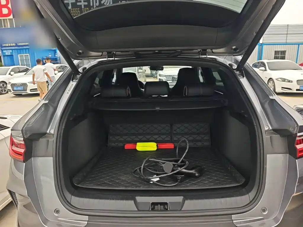 BYD PLUS New Energy — миниатюра 19