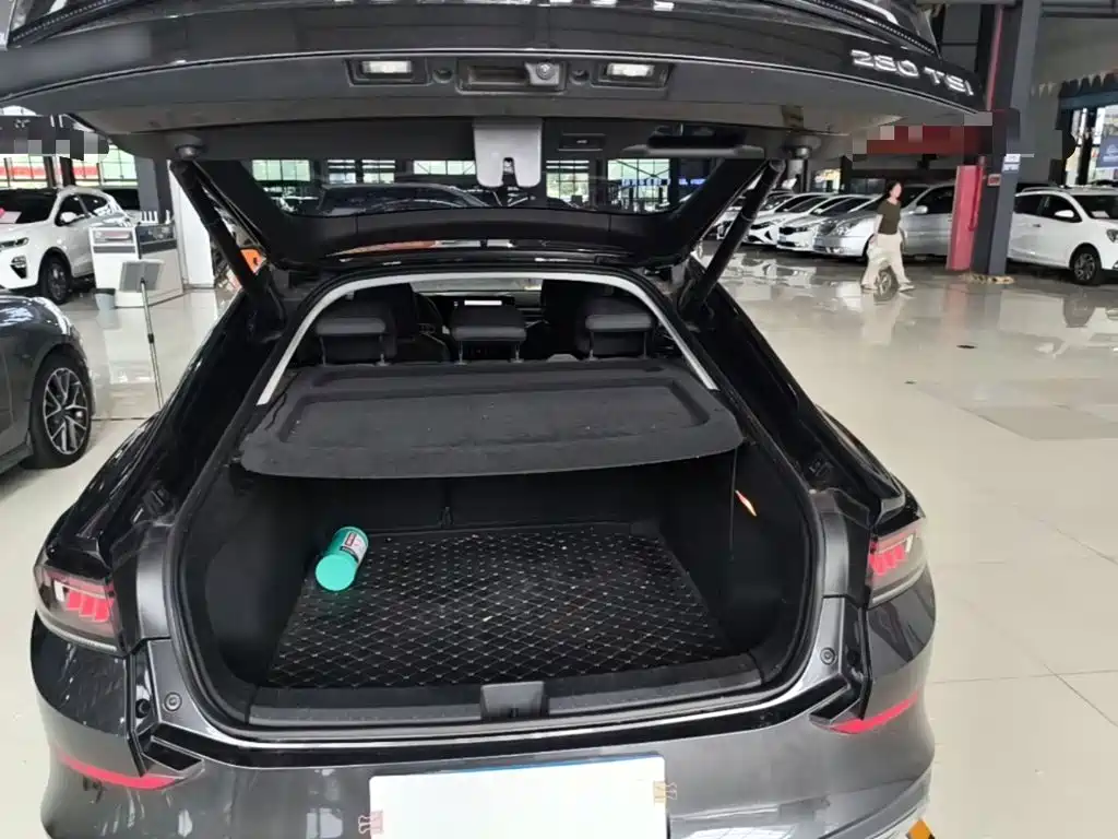 Volkswagen Lamando — миниатюра 16