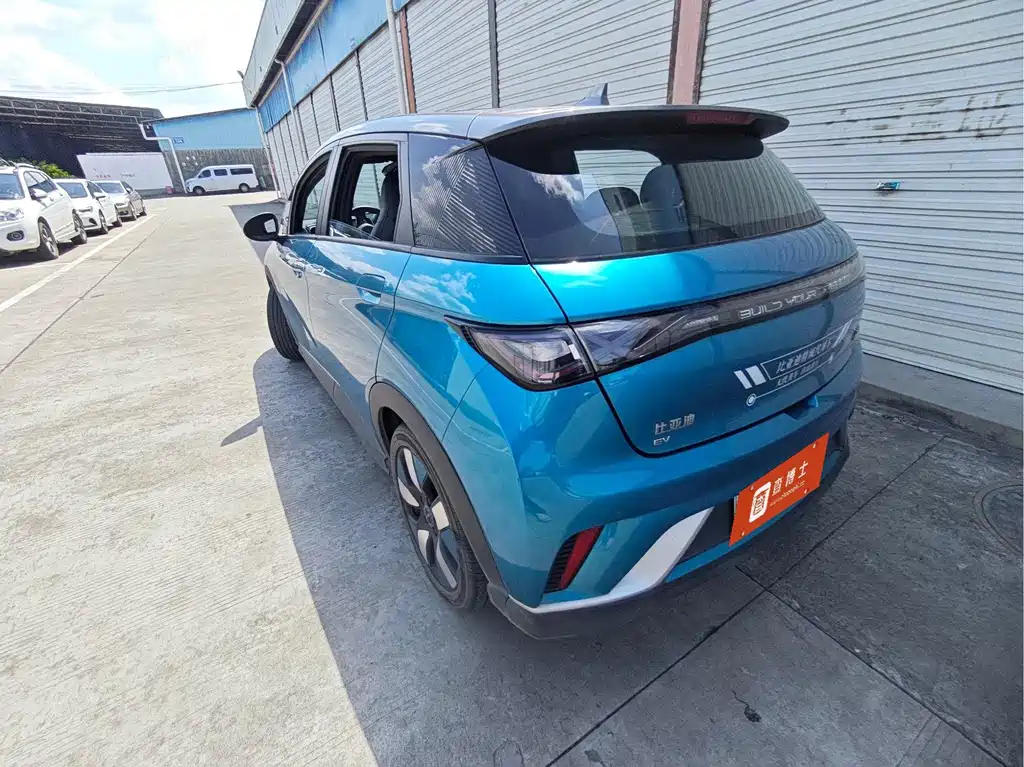 BYD Dolphin — миниатюра 3