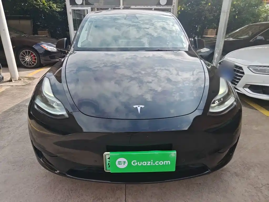 Tesla Model Y — миниатюра 3