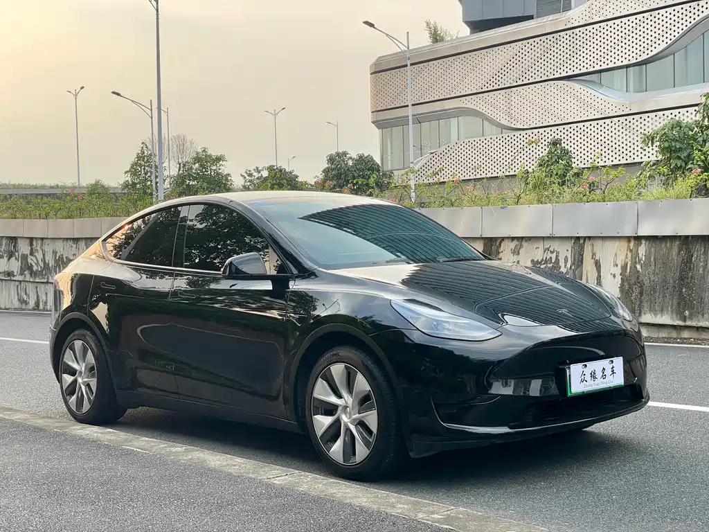 Tesla Model Y — миниатюра 3