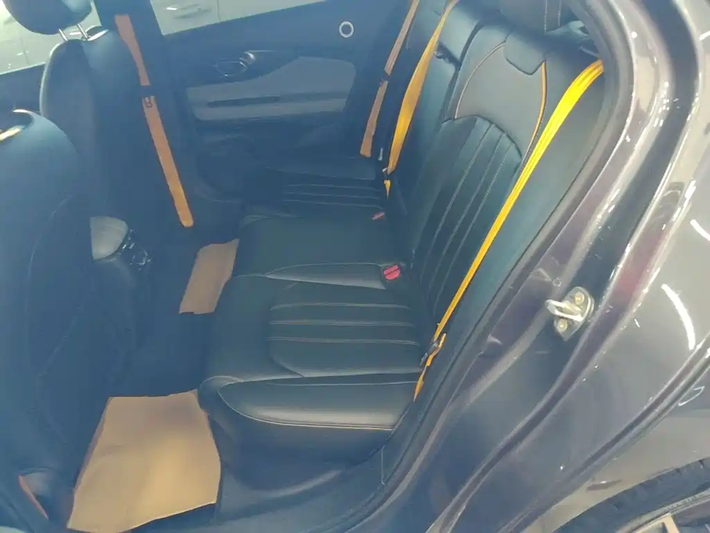 GAC Motor Shadow Leopard — миниатюра 17