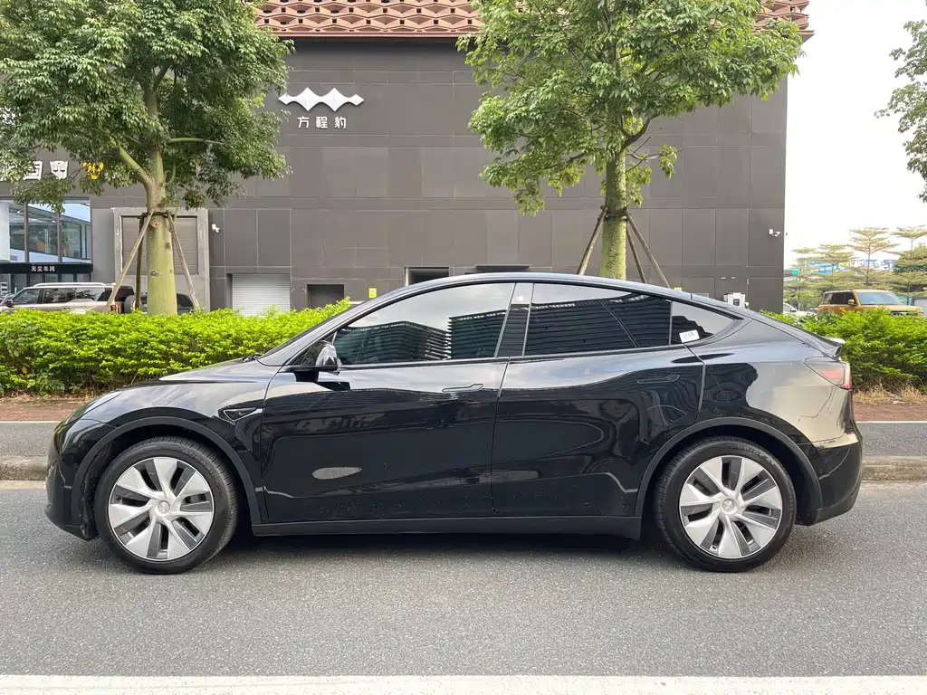 Tesla Model Y — миниатюра 4