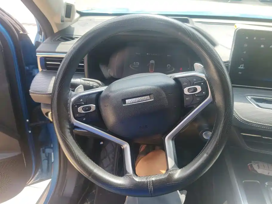 Haval Chulian — миниатюра 15