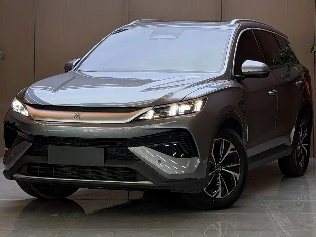 BYD Pro New Energy — миниатюра 3