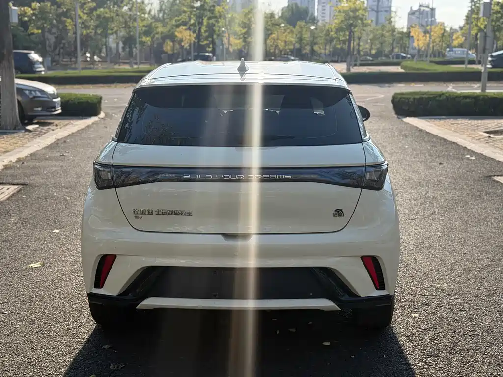 BYD Dolphin — миниатюра 6