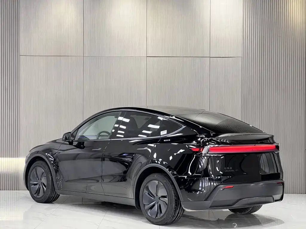 Tesla Model Y — миниатюра 8