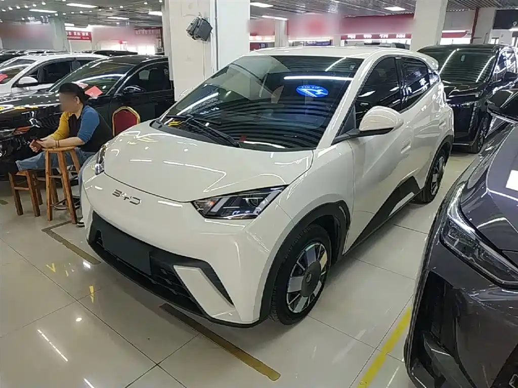 Byd Seagull 2024