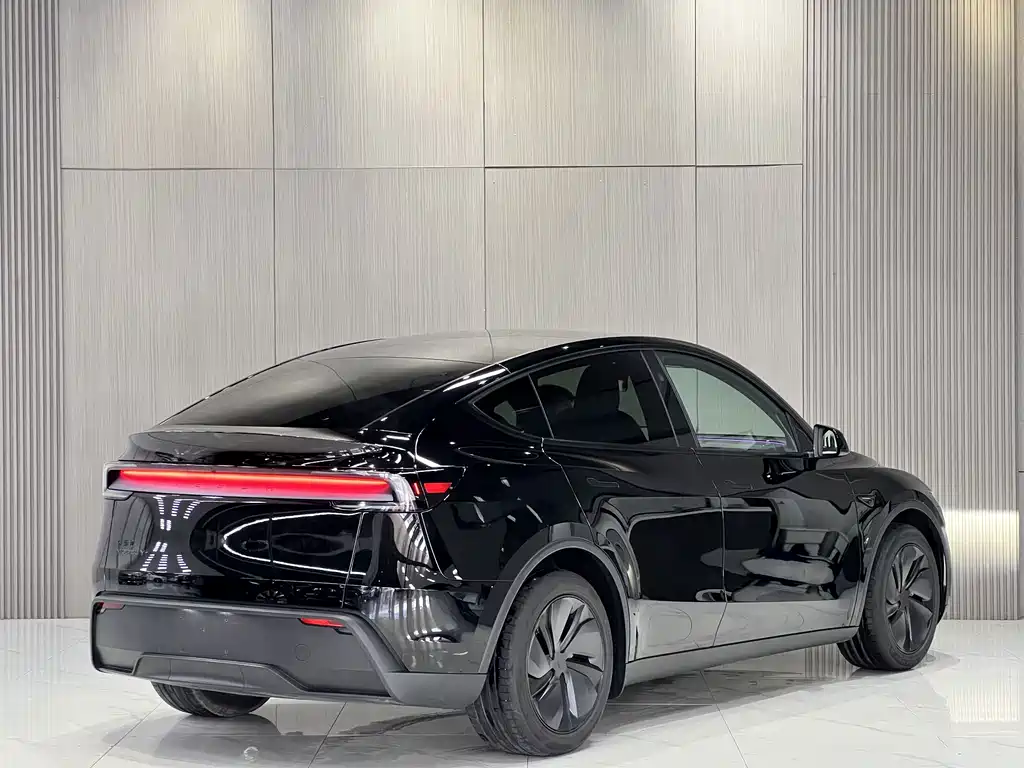 Tesla Model Y — миниатюра 10