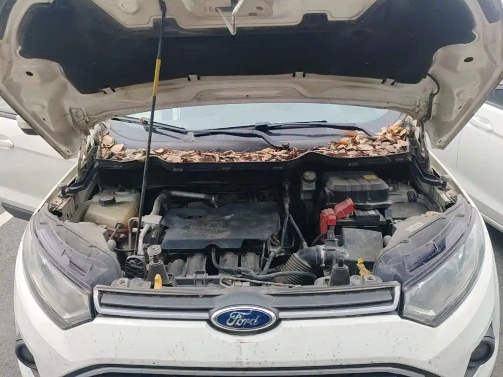 Ford Ecosport — миниатюра 20