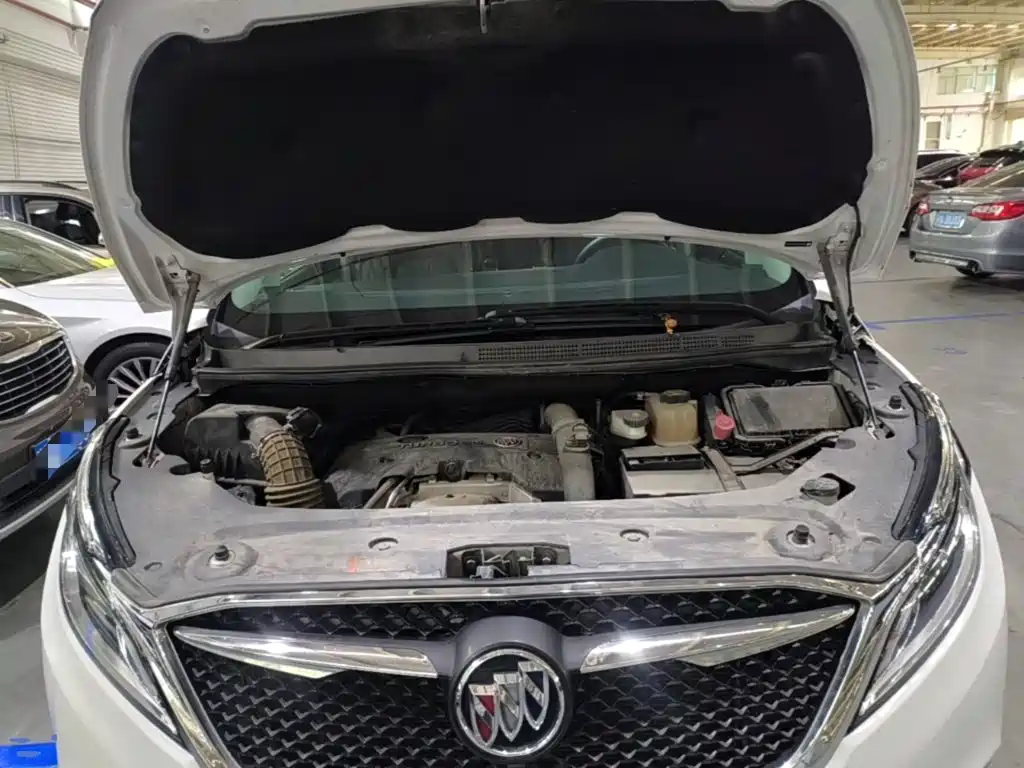 Buick GL8 — миниатюра 20