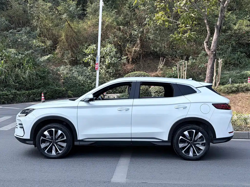 BYD SONGJIANG NEW ENERGY