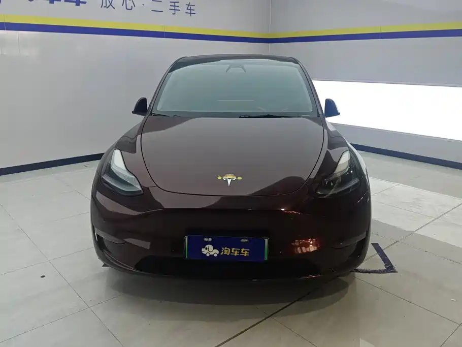 Tesla Model Y — миниатюра 2
