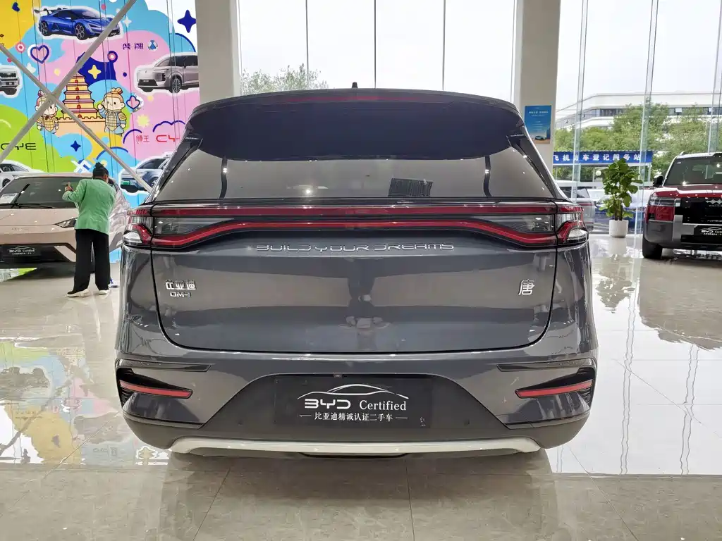 BYD Tang New Energy — миниатюра 6