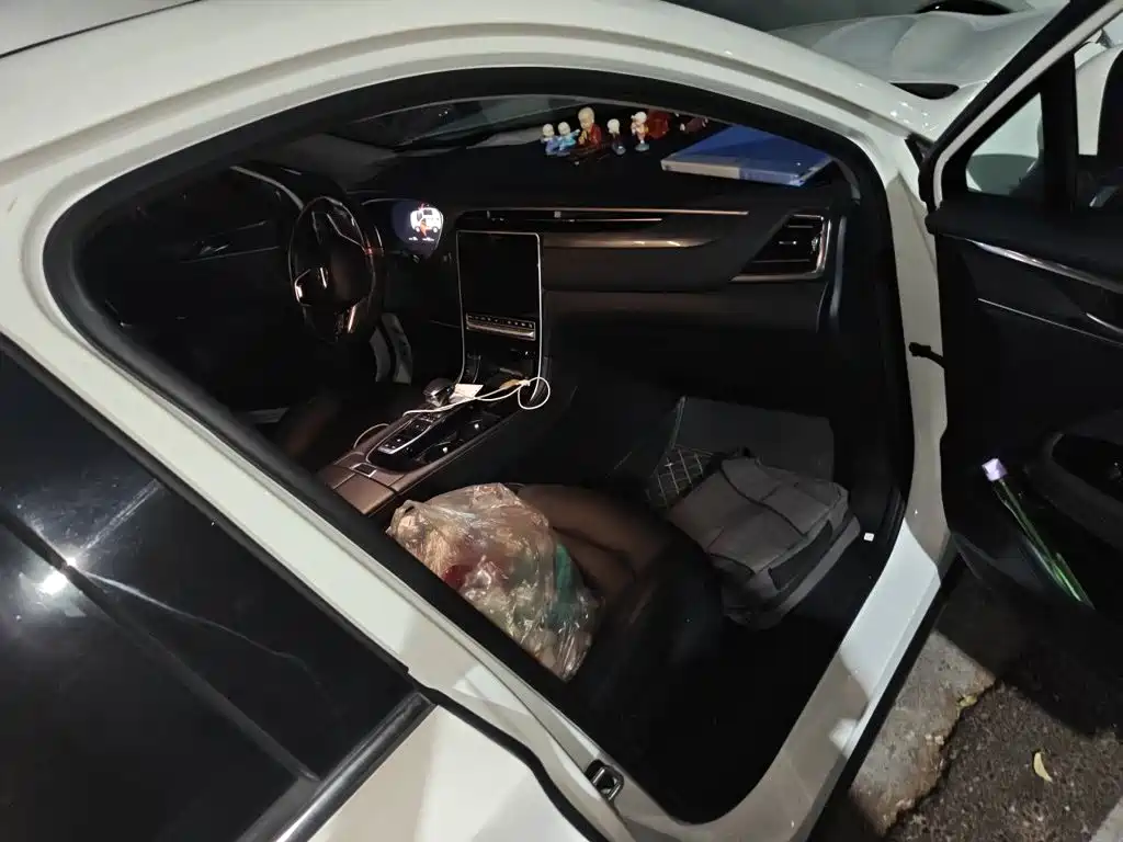 GAC Motor GS4 Plus — миниатюра 19