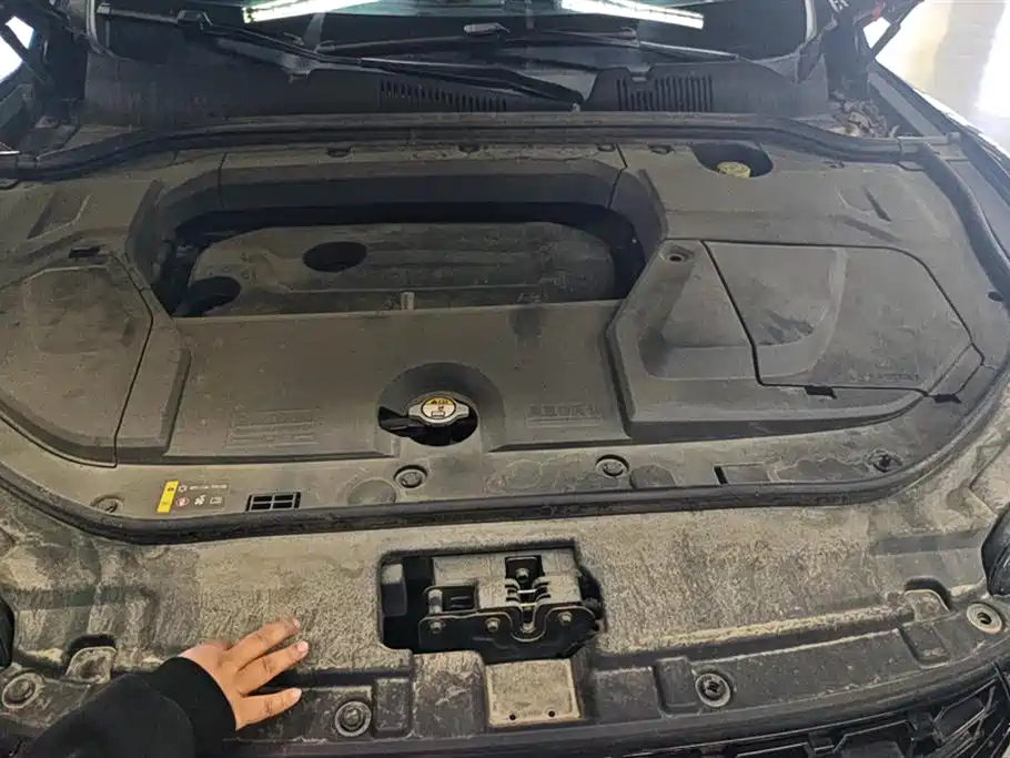 WEI PAI WEI BRAND VV5