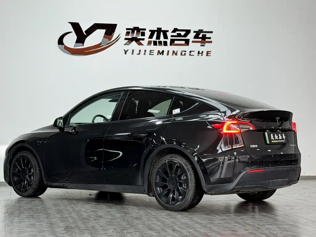 Tesla Model Y — миниатюра 10