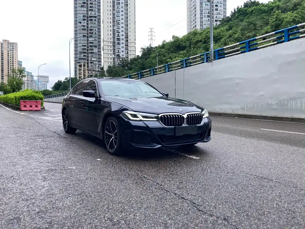BMW 5 Series 5 2021 530Li Premium Luxury