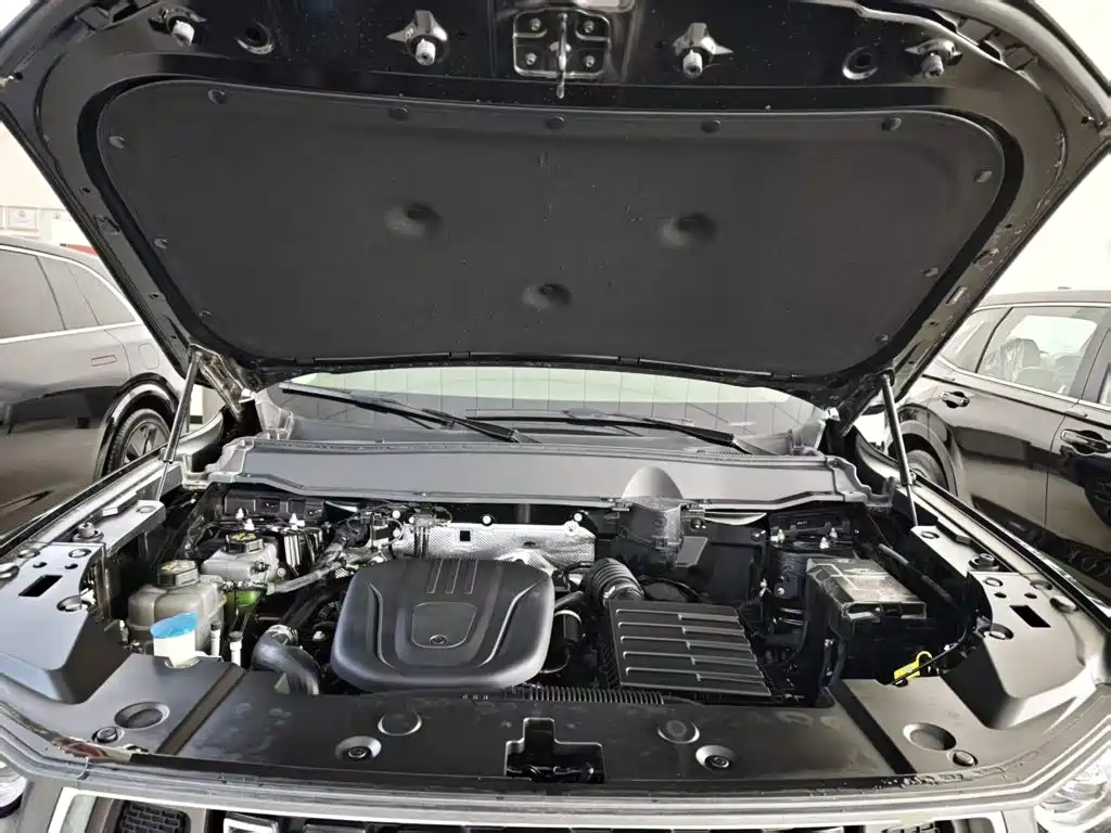 Haval Big Dog PLUS New Energy — миниатюра 20