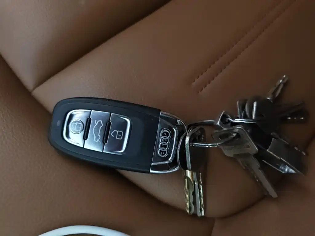 Audi A6L — миниатюра 9