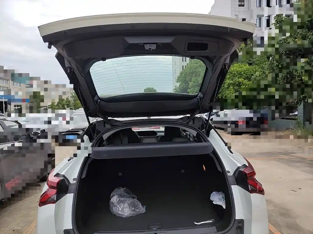 Citroen C5 X — миниатюра 19