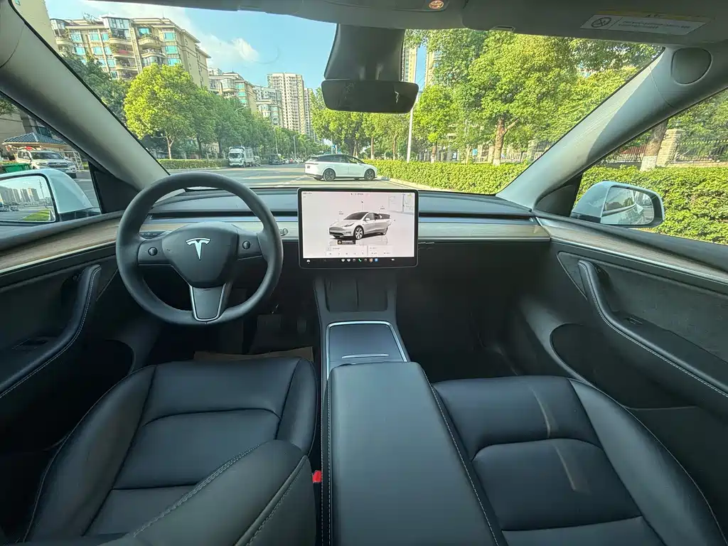 Tesla Model Y — миниатюра 6