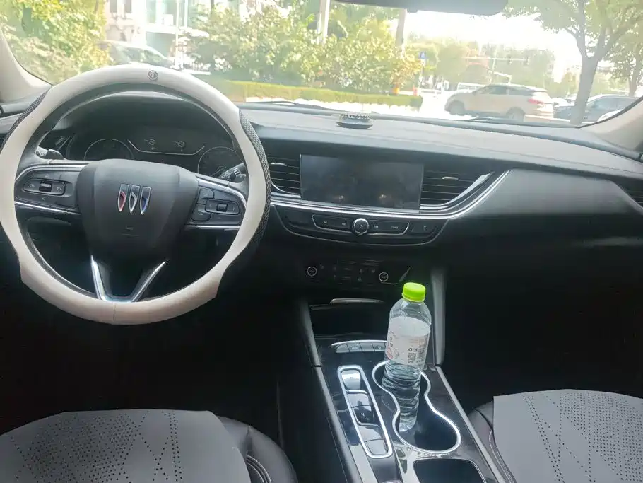 Buick Regal — миниатюра 12