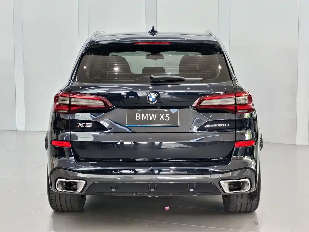 BMW X5 2022 xDrive 30Li Premium M Sport