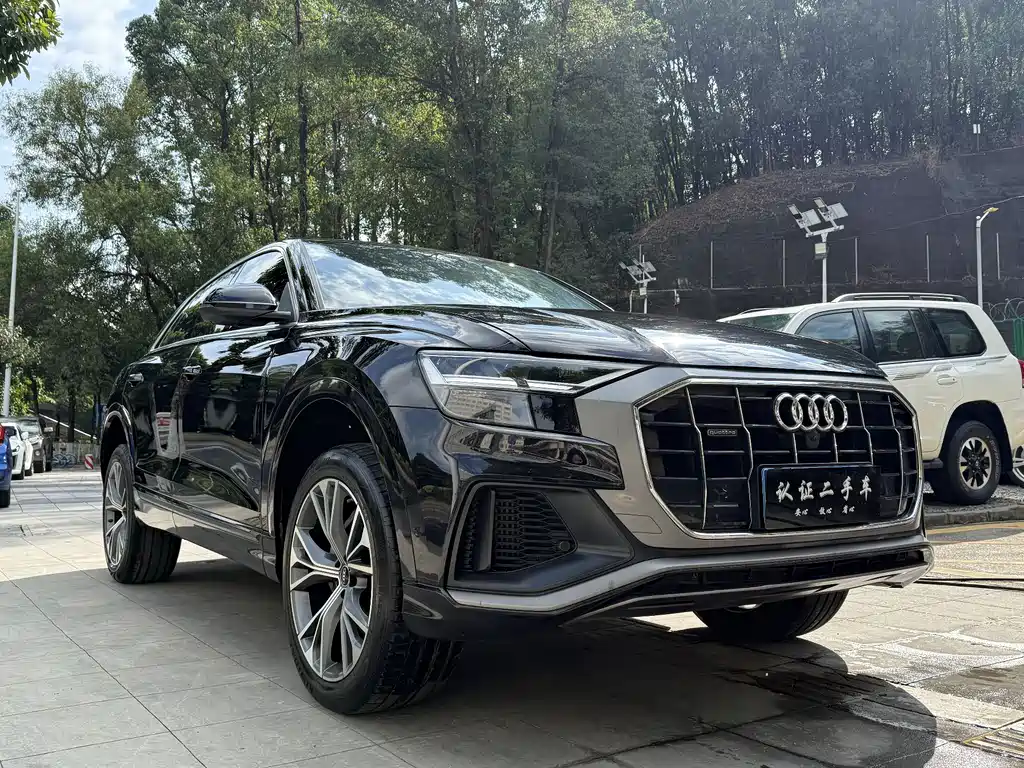 Audi Q8 2022 55 TFSI Luxury