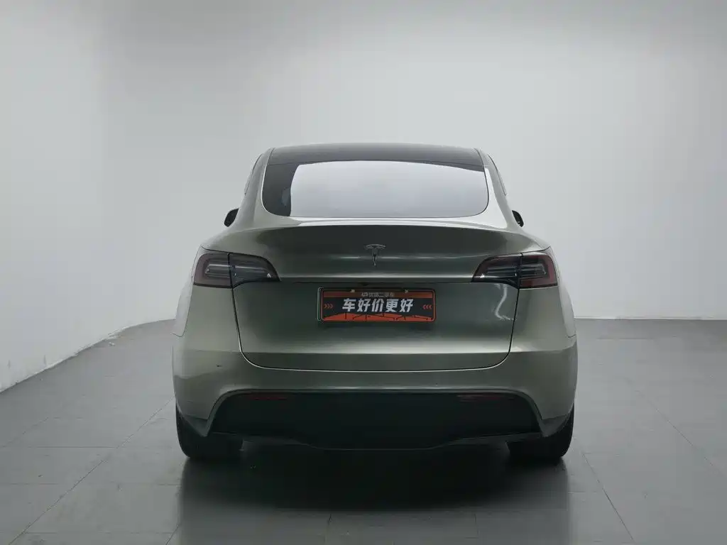 Tesla Model Y — миниатюра 4