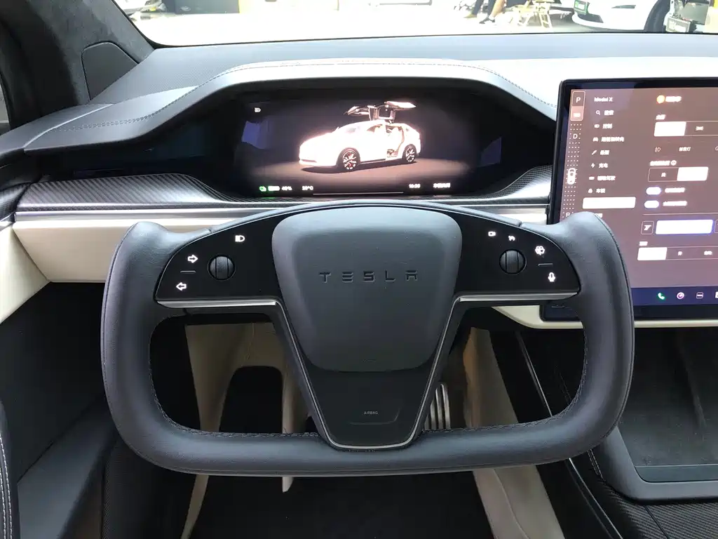 Tesla Model X — миниатюра 19