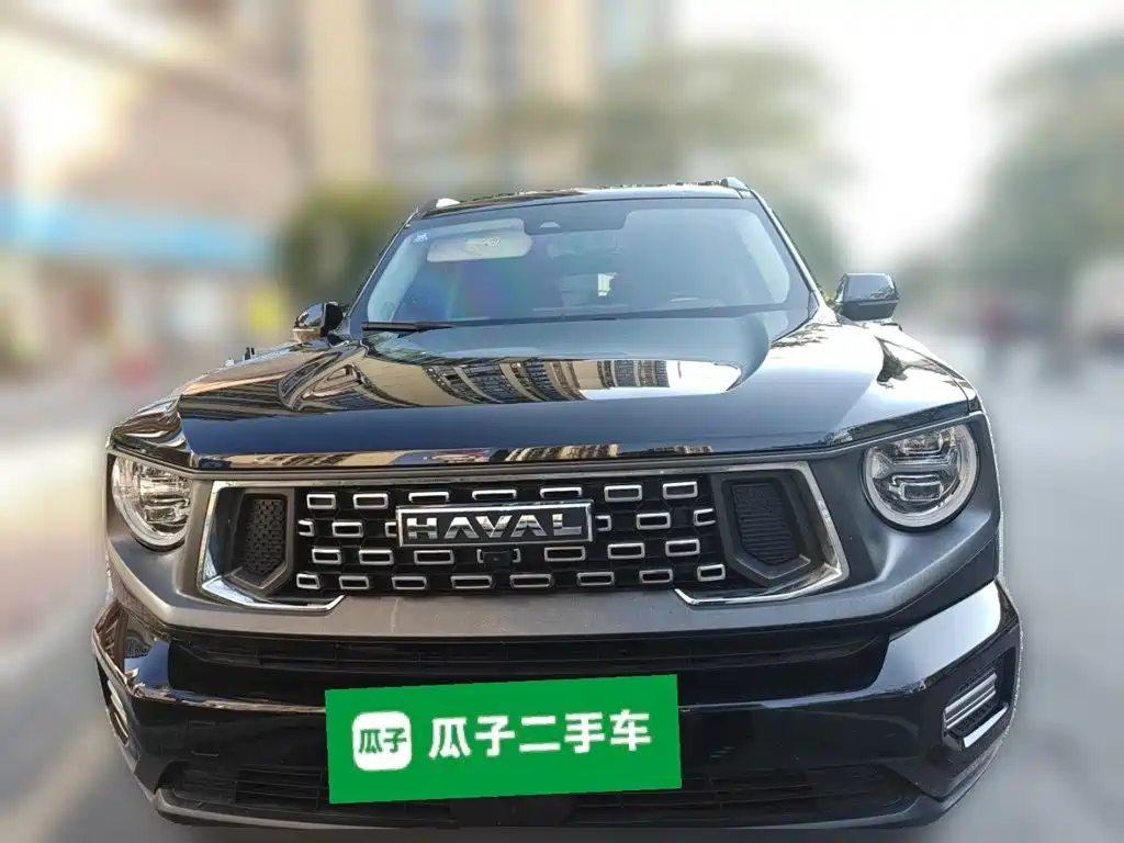 Haval Big Dog PLUS — миниатюра 2