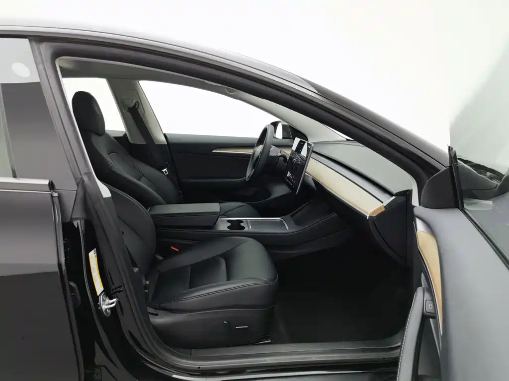 Tesla Model 3 — миниатюра 23