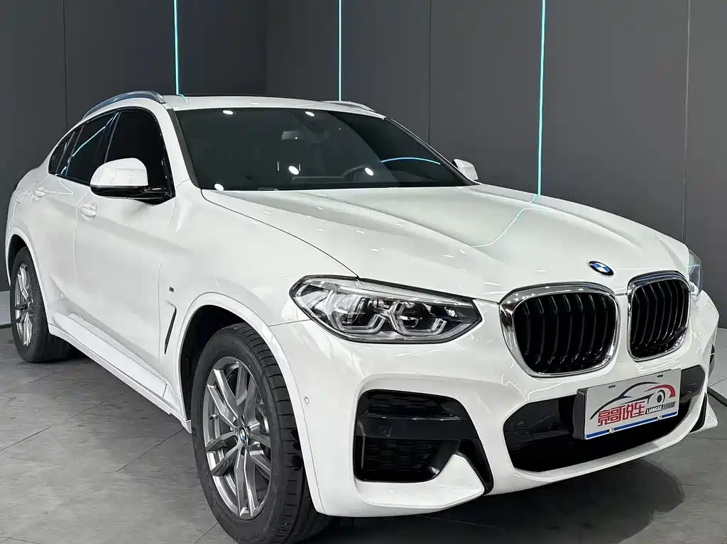 BMW X4 2019 xDrive25i M Sport