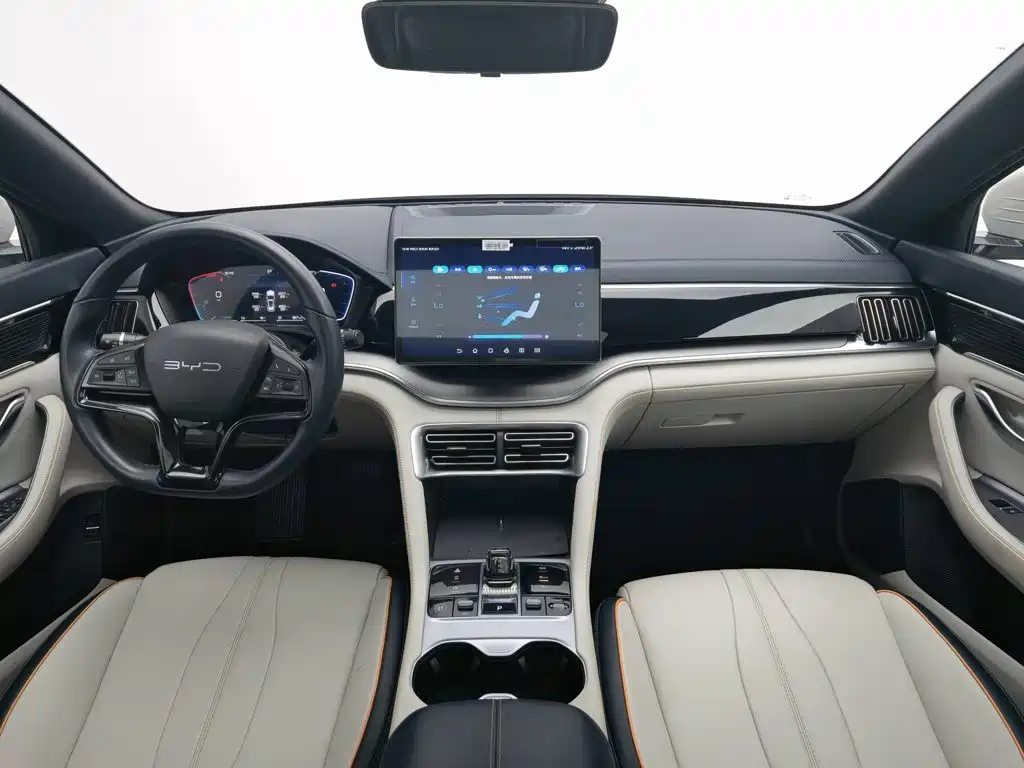 BYD PLUS New Energy — миниатюра 5