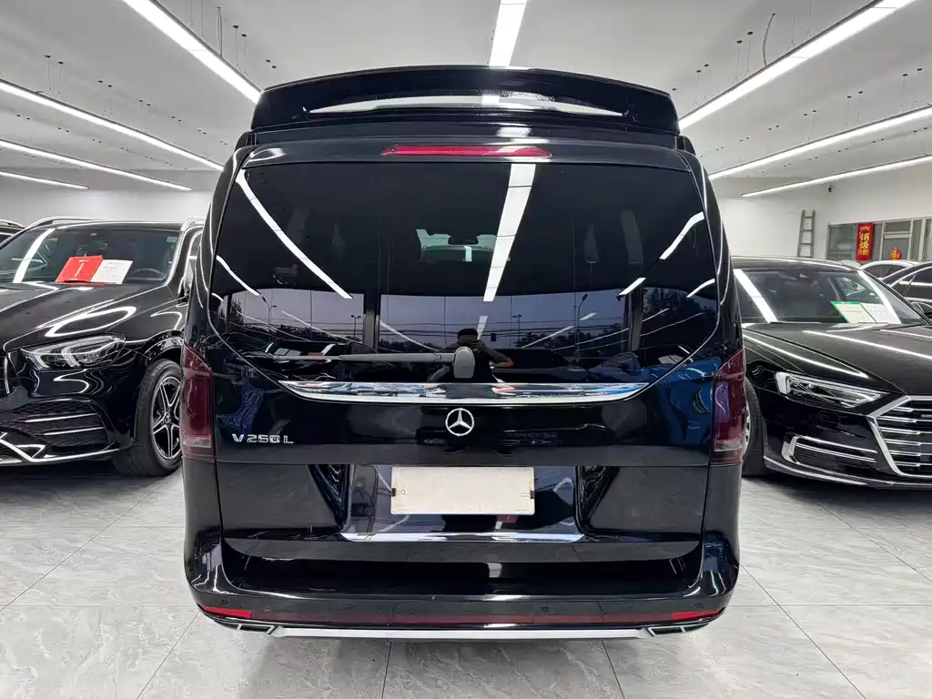 Mercedes-Benz V-Class V 2018 V 260 L Luxury Long Wheelbase VI