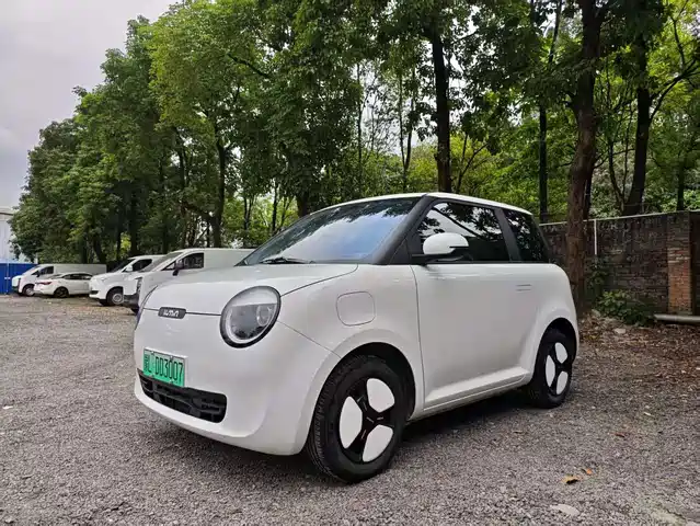 2025 Changan Lumin