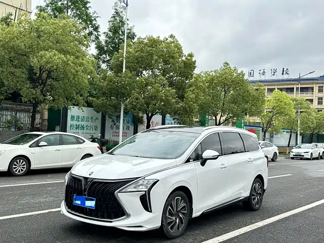 Dongfeng Forthing Forthing Yacht