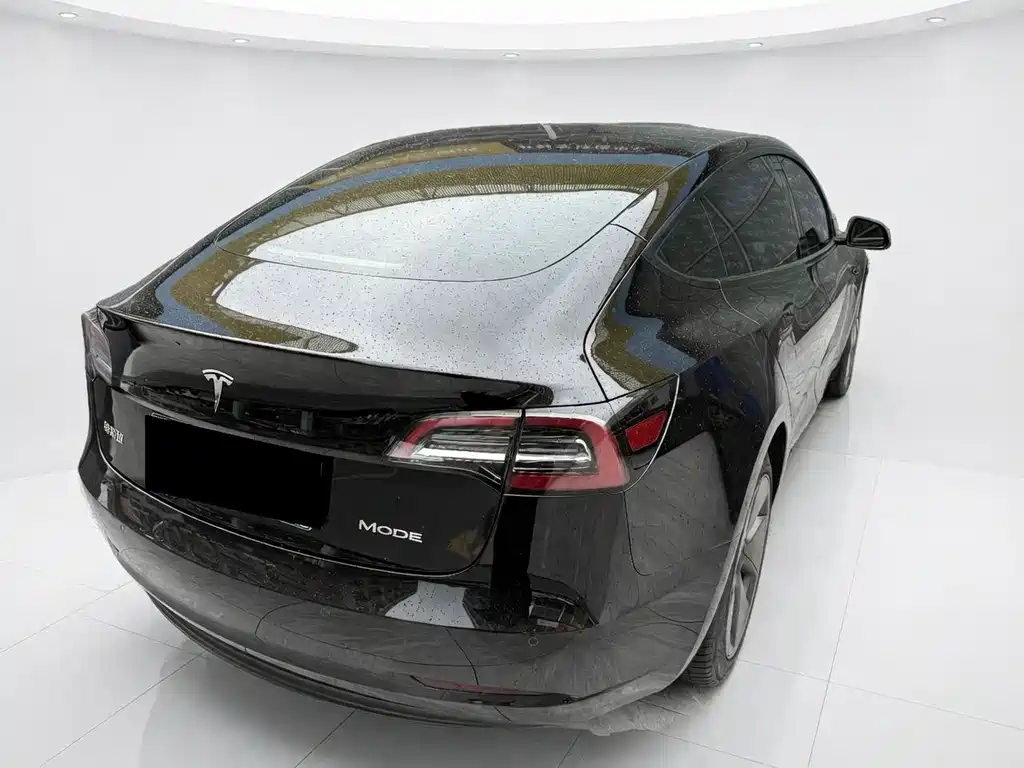 Tesla Model 3 2021 3D6